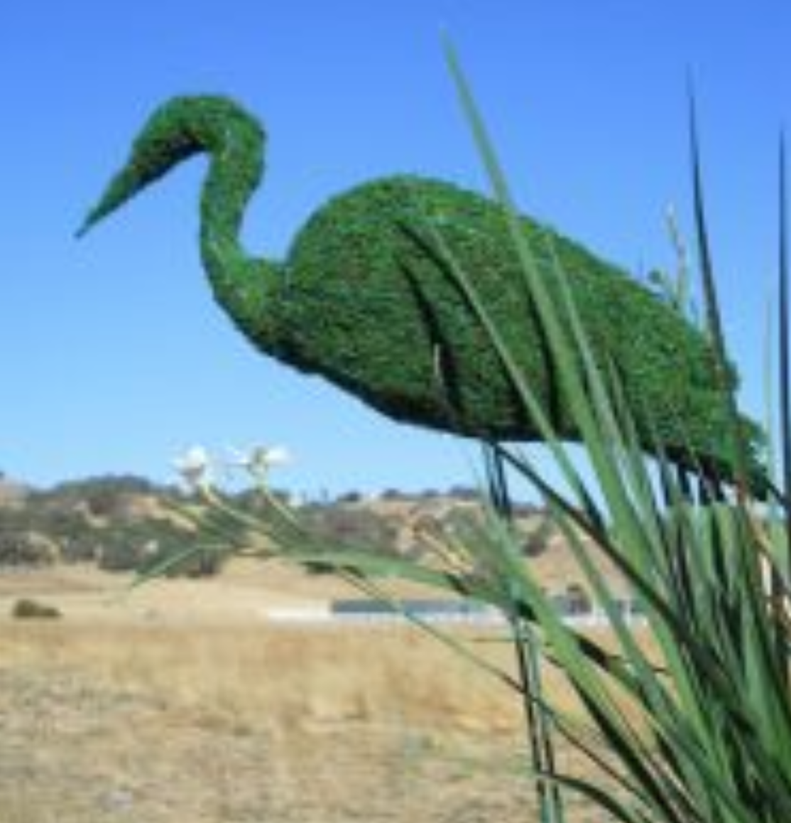 Stork Bird Moss Topiary 36 inches tall